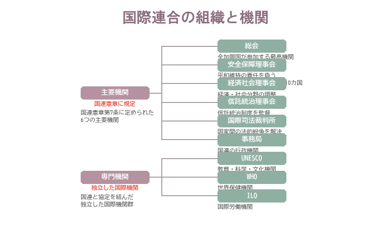 国際連合の組織と機関
